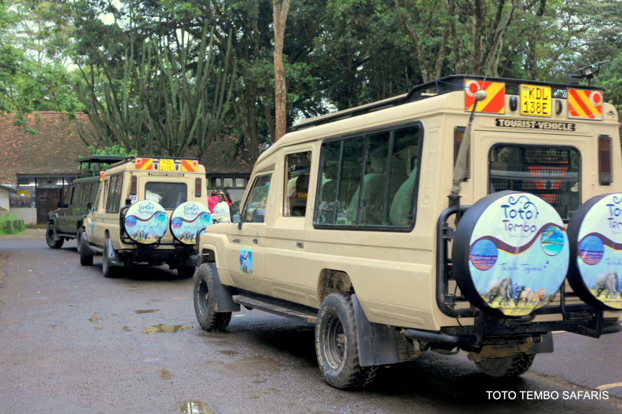 Toto Tembo Safaris - African Safari Experience